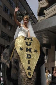 Original manera de llegar a tu boda. Sobre un elefante.
